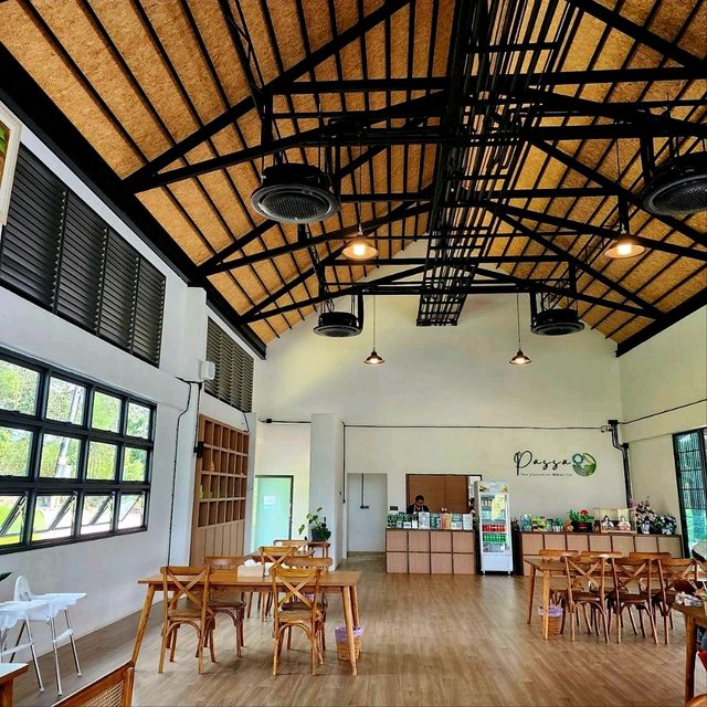ที่เที่ยวเปิดใหม่ทานอาหารในไร่ชา PASSA Mae On