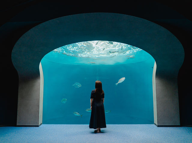 【香川】まるで美術館？🫧四国水族館