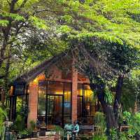 คาเฟ่ลับกลางป่าบรรยากาศสุดชิลที่ต้องลอง!