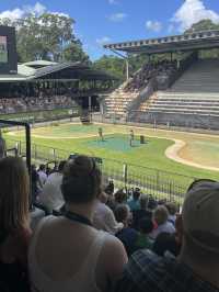 동물들을 가깝게 만나볼 수 있는 호주 브리즈번의 Australia Zoo