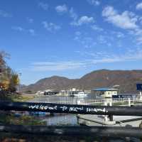 A Beautiful Escape: Nami Island Review