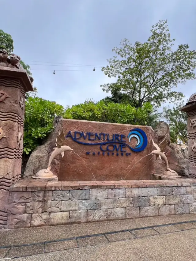 愉快的水上樂園之旅❤️