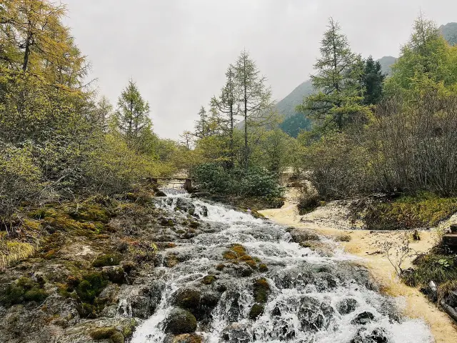 Discovering the Enchanting Beauty of Huanglong, Sichuan