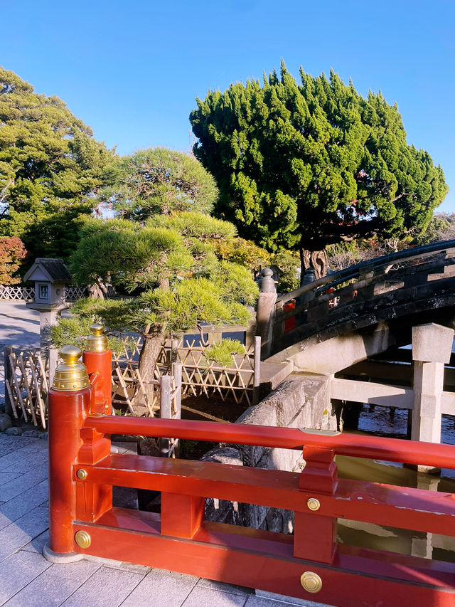 【神奈川県/鎌倉　生命力を感じる”大銀杏”の紅葉が美しい『鶴岡八幡宮』】