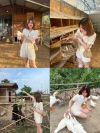 🪿The Life Garden Farmstay 🌿 ที่พักน่ารัก 