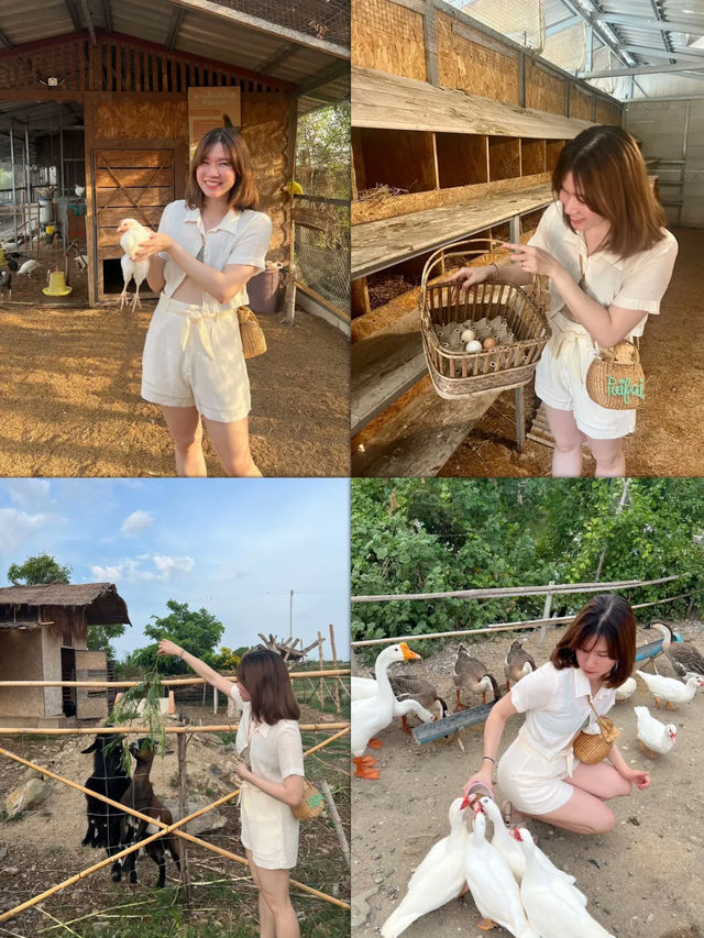 🪿The Life Garden Farmstay 🌿 ที่พักน่ารัก 