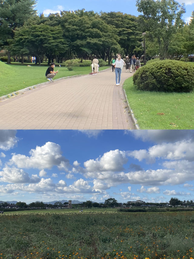 제일 선호하는 국내 여행지 !☺️