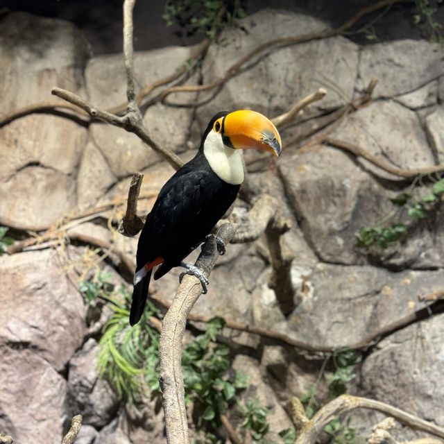 A Fun and Unique Experience at Zoolung Zoolung!