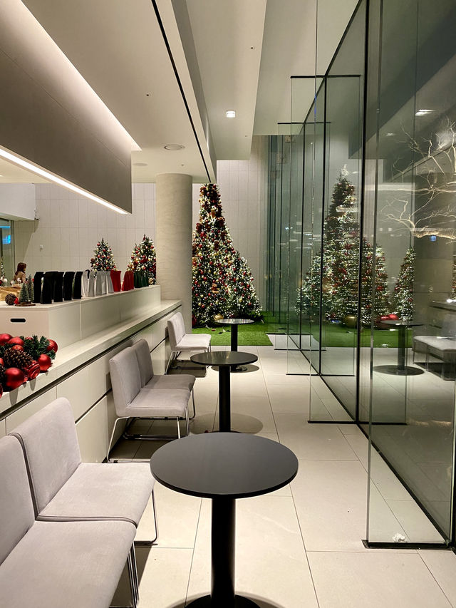 크리스마스 트리 포토존이 가득한 의정부 핫플 🎄아나키아