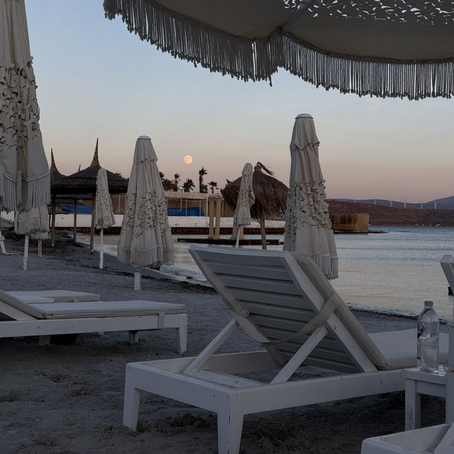 Cocos the Club Solto Recommendation