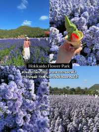 One Day Trip Khaoyai : เที่ยวเขาใหญ่ไปเช้าเย็นกลับ