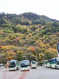 ธรรมชาติจีนสวยทะลุตาเนื้อ ‼️⛰️✨