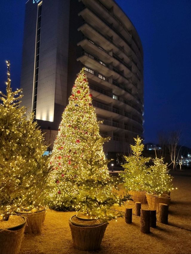 크리스마스에 진심인 경주호텔🎄