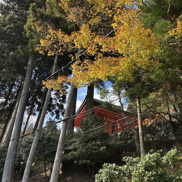 為了一眼京都的楓紅，我爬上了比叡山