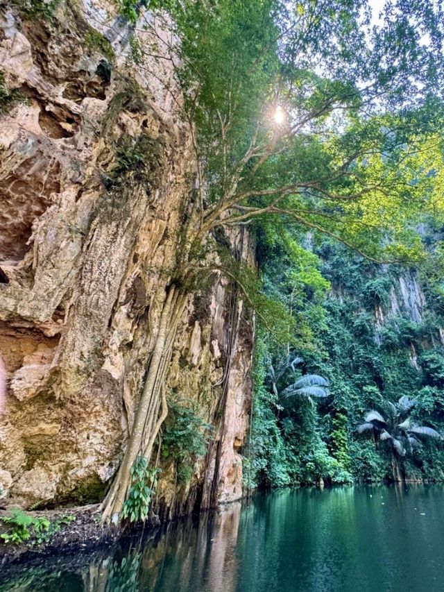 A Hidden Gem of Tranquility