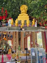 วัดพระศรีอารย์: อุโบสถทองคำแห่งราชบุรี 🙏
