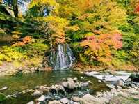 青森🇯🇵中野紅葉山