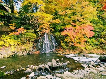 青森🇯🇵中野紅葉山