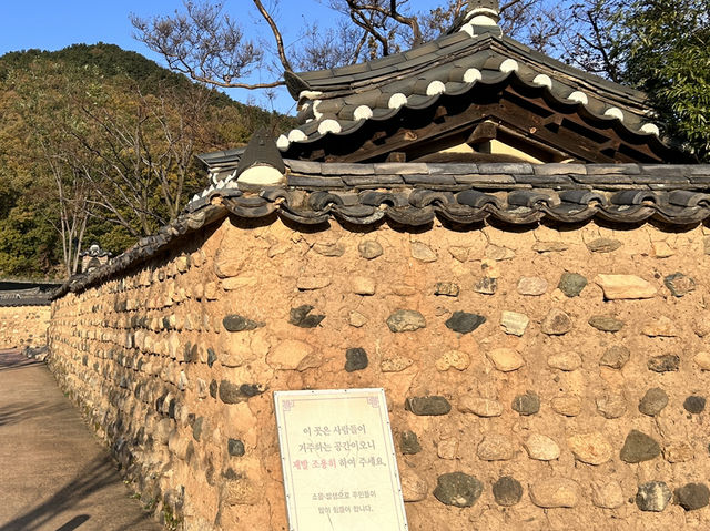 🇰🇷大邱✈️南平文氏本里世居地仁興村인흥마을