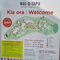 Waiotapu Thermal Wonderland: A Geothermal Marvel