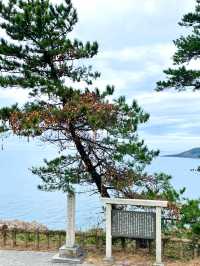 【福井県】福井観光では外せない景勝地！東尋坊