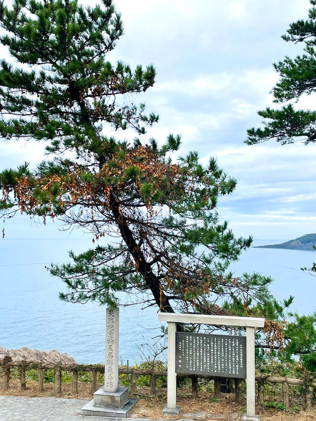 【福井県】福井観光では外せない景勝地！東尋坊