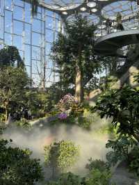 No more Winter Worries in Shanghai