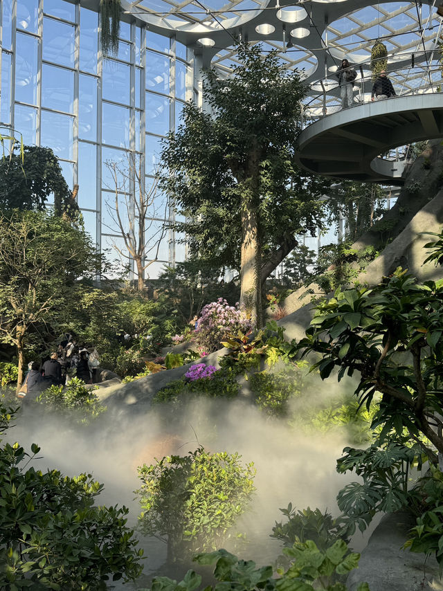 No more Winter Worries in Shanghai