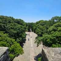 欣賞南京世界文化遺產-明孝陵