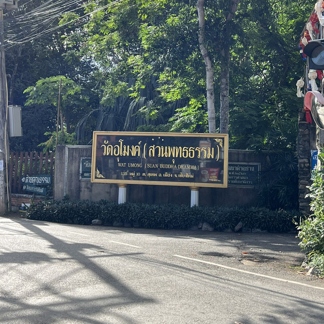 วัดอุโมงค์ (สวนพุทธธรรม) • เชียงใหม่
