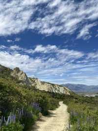 Clay Cliffs: A Geological Marvel of New Zealand’s South Island