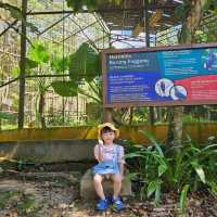LOKAWI WILDLIFE PARK 
