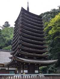 Tanzan Jinjia, Japan