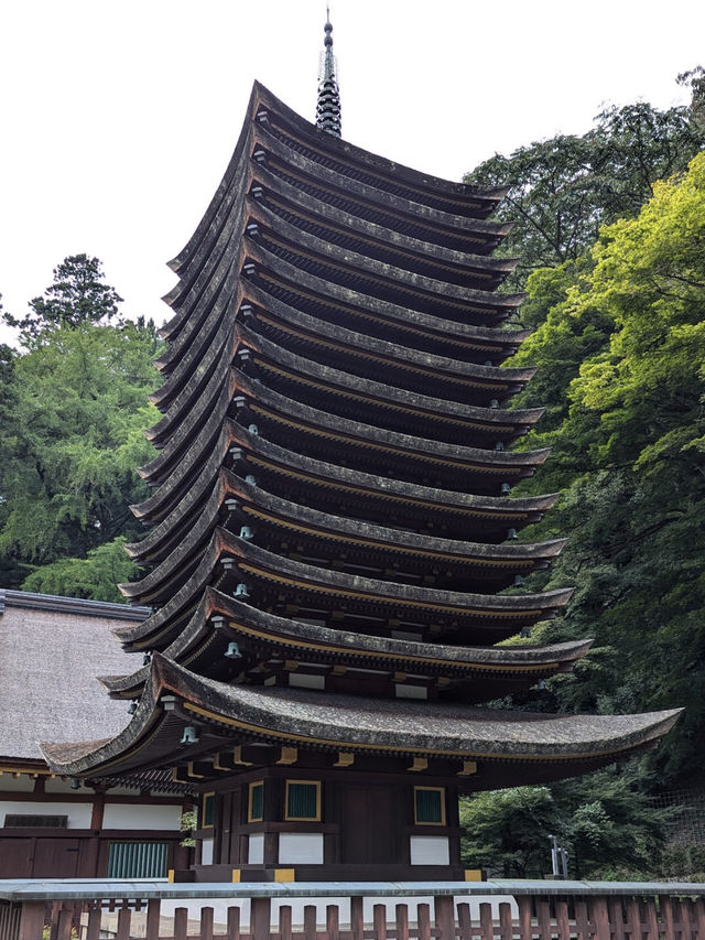 Tanzan Jinjia, Japan