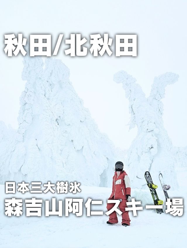 【秋田】日本三大樹氷『森吉山阿仁スキー場』
