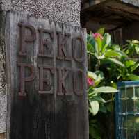 台灣台南_PEKO PEKO_台南必訪老宅氛圍滿滿美味早午餐