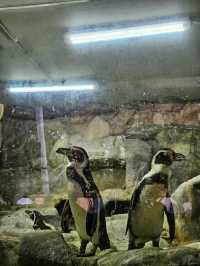 A day trip to Zoo Negara Malaysia