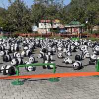 นั่งรถบัสจากสนามบินไปกระเช้า Ngong Ping 36
