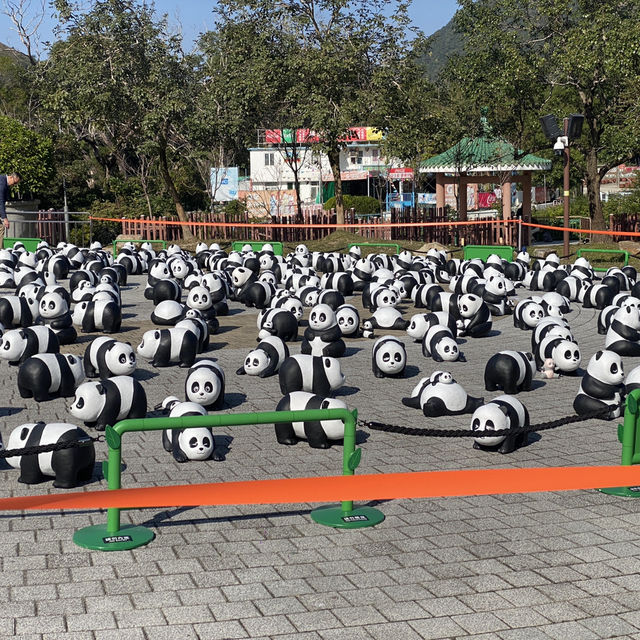 นั่งรถบัสจากสนามบินไปกระเช้า Ngong Ping 36