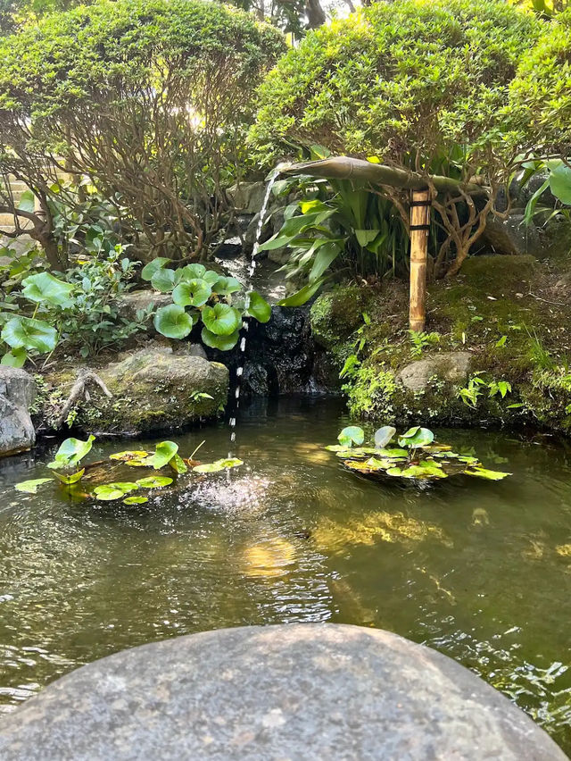Honolulu Bamboo Forest 