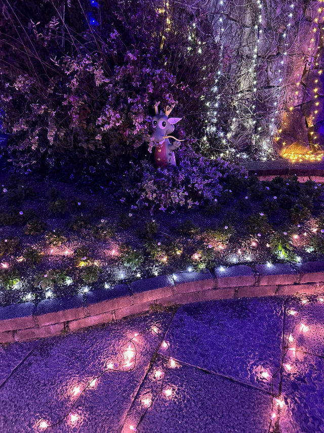國營讚岐滿濃公園🥰冬季限定燈飾😍四國必去😝