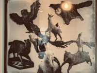 人類與動植物關係學 ANTHROZOOLOGY 展覽