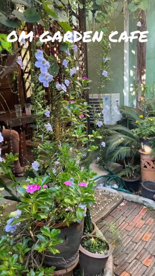 Almost like A Hidden Oasis in Pai - Om Garden Cafe