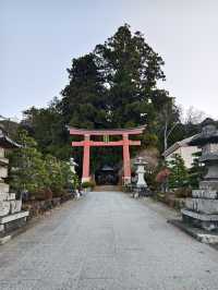 富士遙拜所，可以同時拍到鳥居及富士山