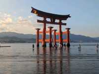 Miyajima Trip Highlights