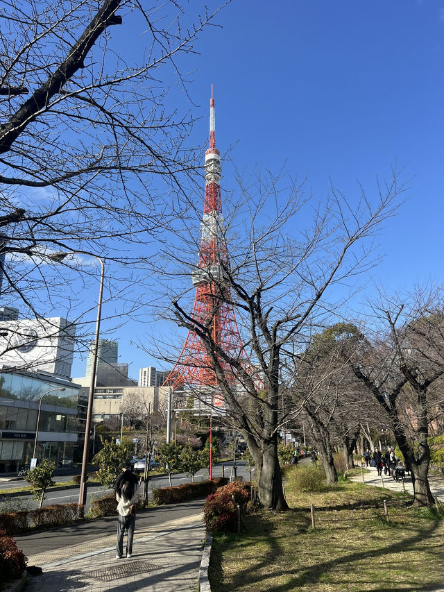 📍東京鐵塔——東京最經典的地標🗼
