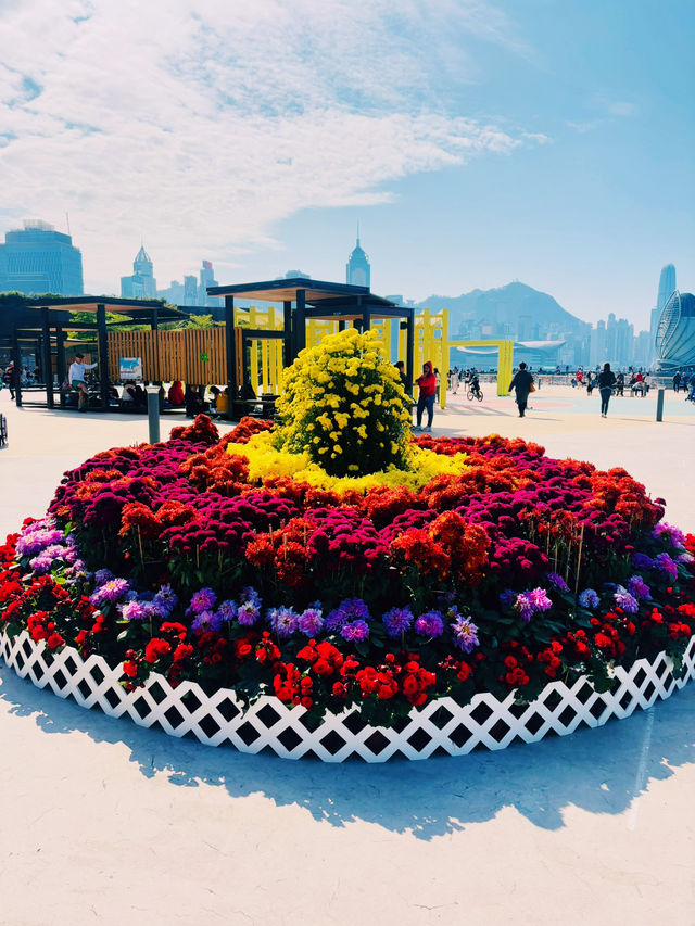 【北角】東岸板道：維港美景，浪漫悠閒氛圍