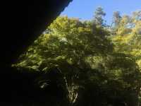 Arashiyama Uncovered: Secrets of Kyoto’s Hidden Retreats
