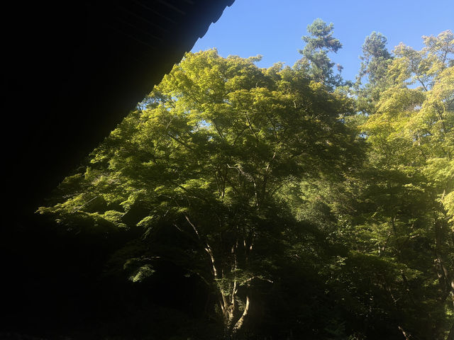 Arashiyama Uncovered: Secrets of Kyoto’s Hidden Retreats