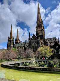 南半球最高的教堂：聖巴特利爵主教座堂 Saint Patrick's Cathedral